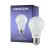 Noxion Lucent Classic LED E27 Poire Dépolie 4.9W 480lm - 840 Blanc Froid | Équivalent 40W