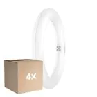 Lot 4x Osram Tube LED T9 Circulaire (EM/Direct 230V) 11W 1320lm - 840 Blanc Froid | Équivalent 22W