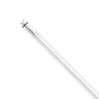 Philips Master Tube LED T8 (EM/Direct 230V) High Output T8 7.6W 1090lm - 830 Blanc Chaud | 60cm - Équivalent 18W